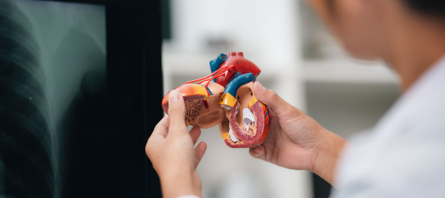 Cardiac Examinations